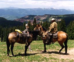 Horseback Riding Colorado